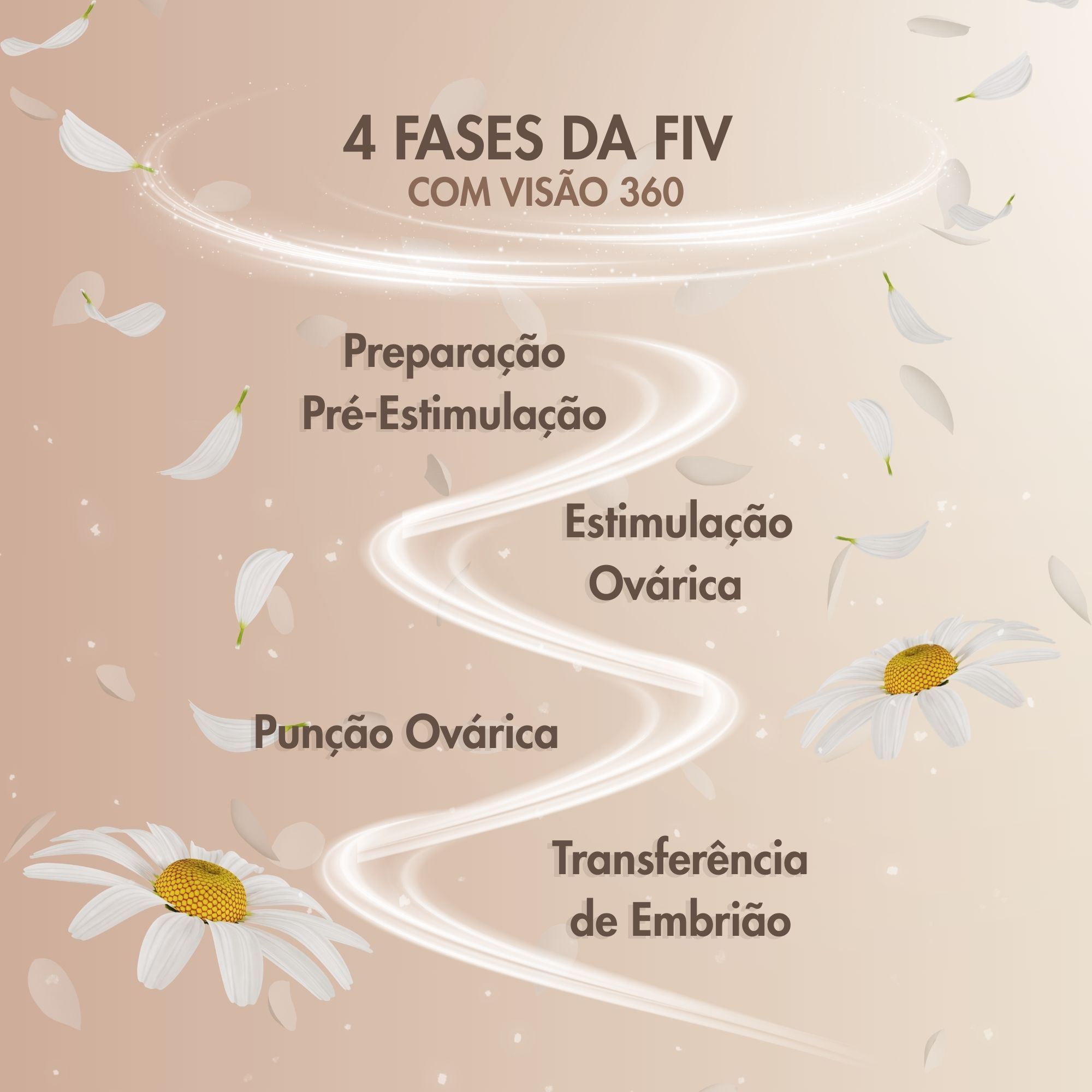 Infográfico das 4 Fases da FIV Paula Castro