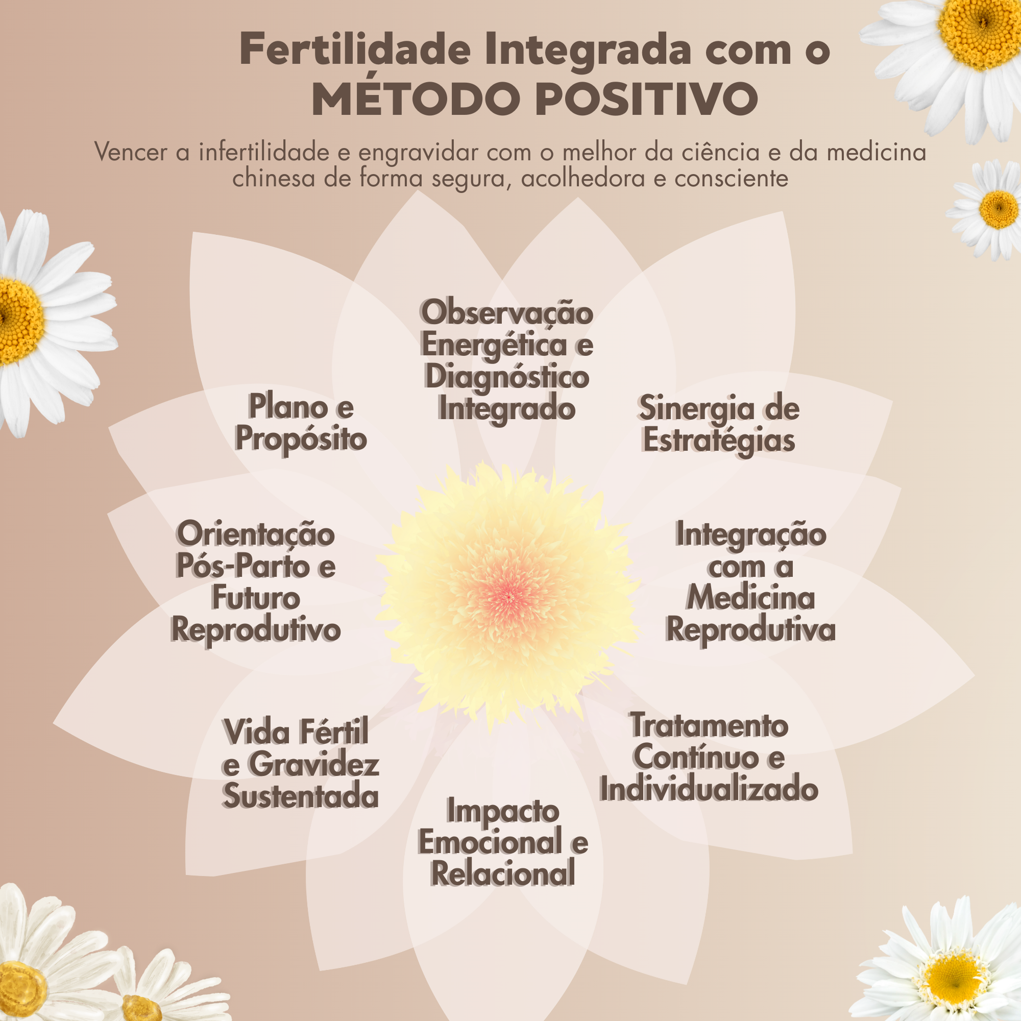 Infográfico sobre Fertilidade Paula Castro
