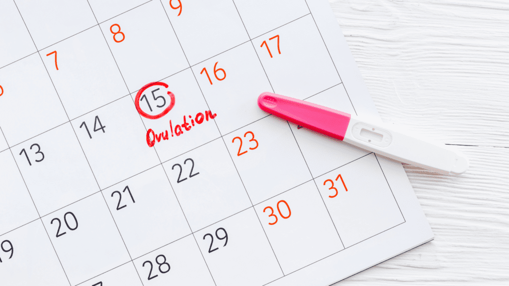 Gráfico de temperatura basal mostrando variações durante o ciclo menstrual, com pós-ovulação entre os dias 14-16